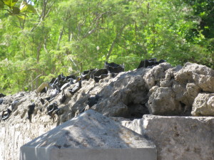 Broken glass on the top of a  rock fence around an old Jewish cemetery.